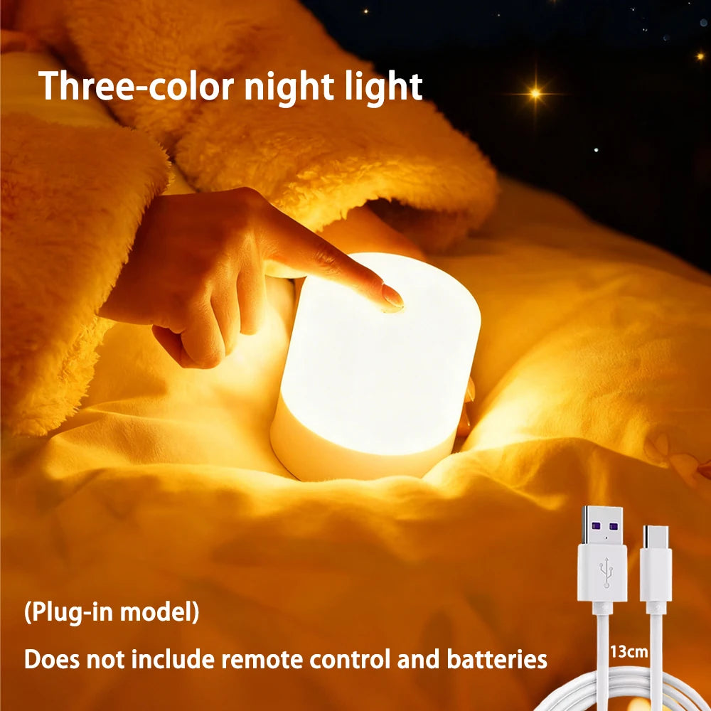 LED Night Light Dimmable Rechargeable/Plug-in Desktop Bedroom Bedside Lighting Decorative Touchscreen Desk Lamp